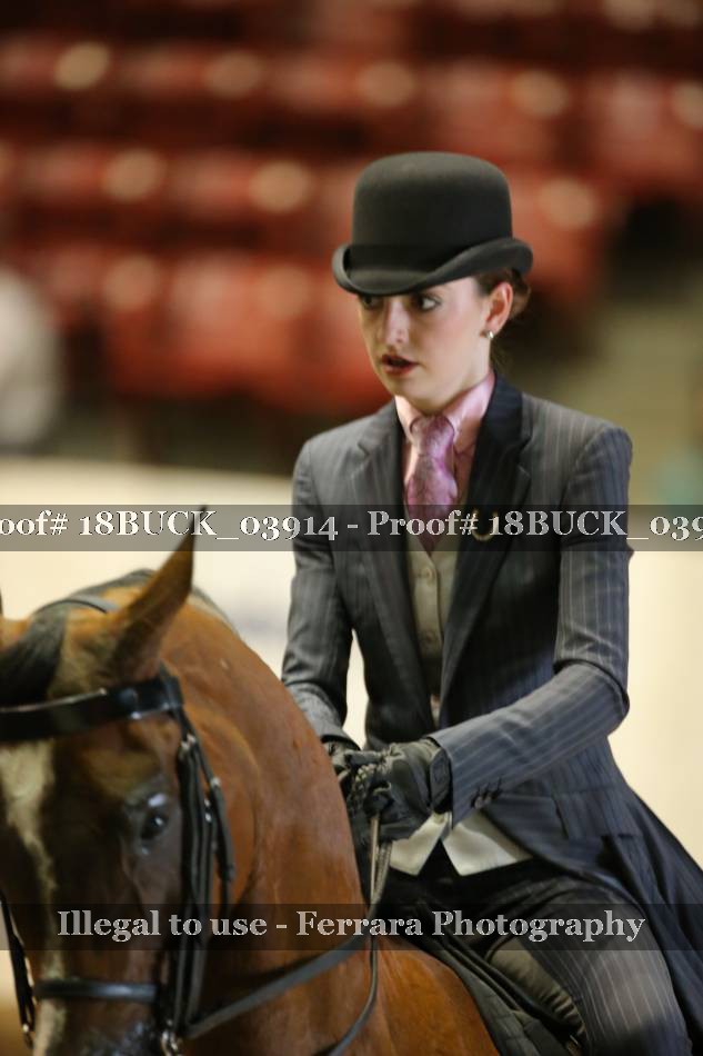 Proof 18BUCK_03914