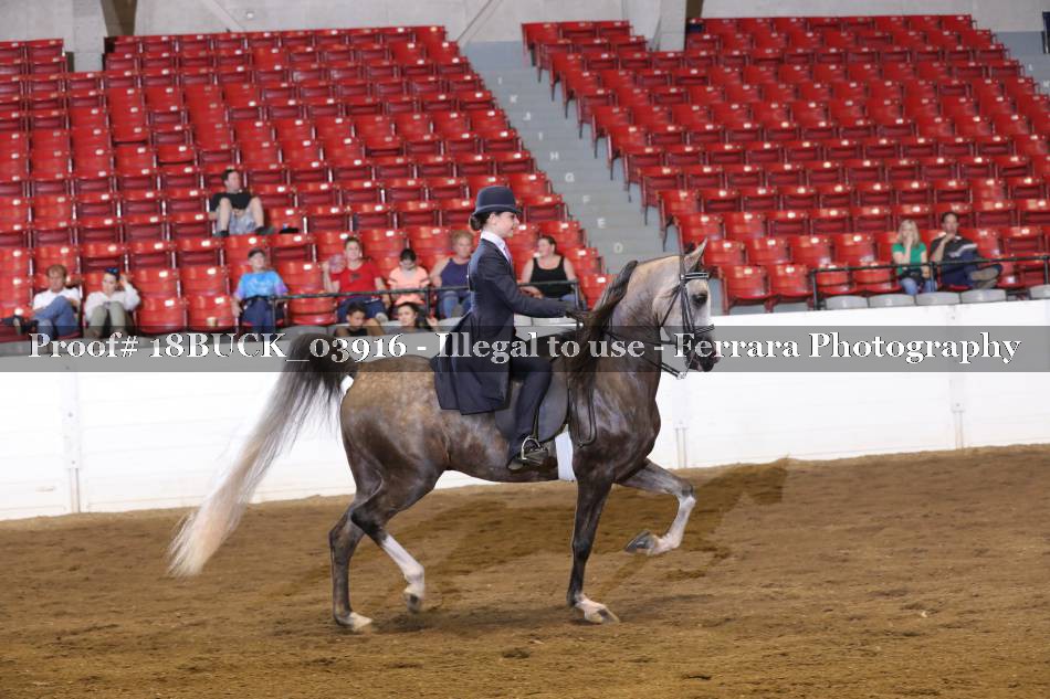 Proof 18BUCK_03916