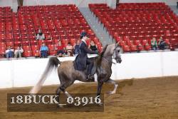 18BUCK_03916 proof