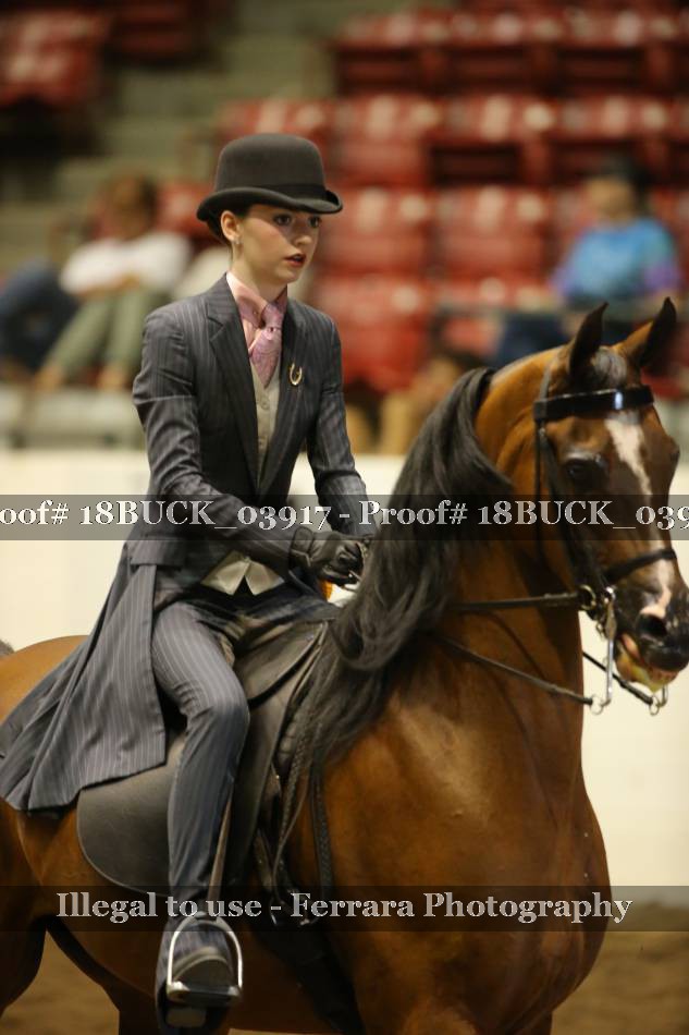 Proof 18BUCK_03917