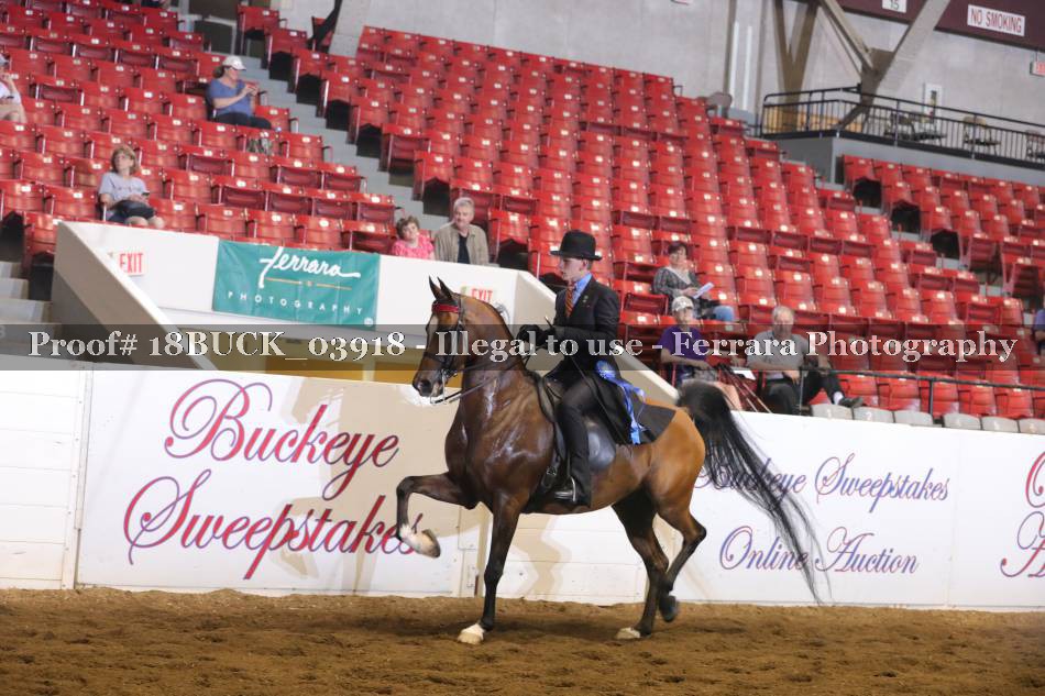 Proof 18BUCK_03918