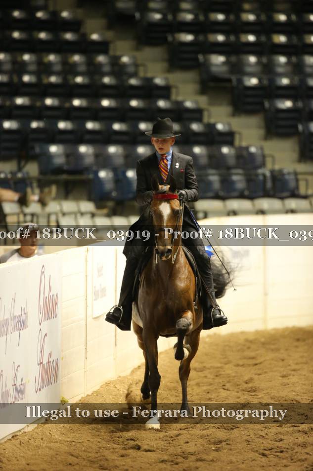 Proof 18BUCK_03919