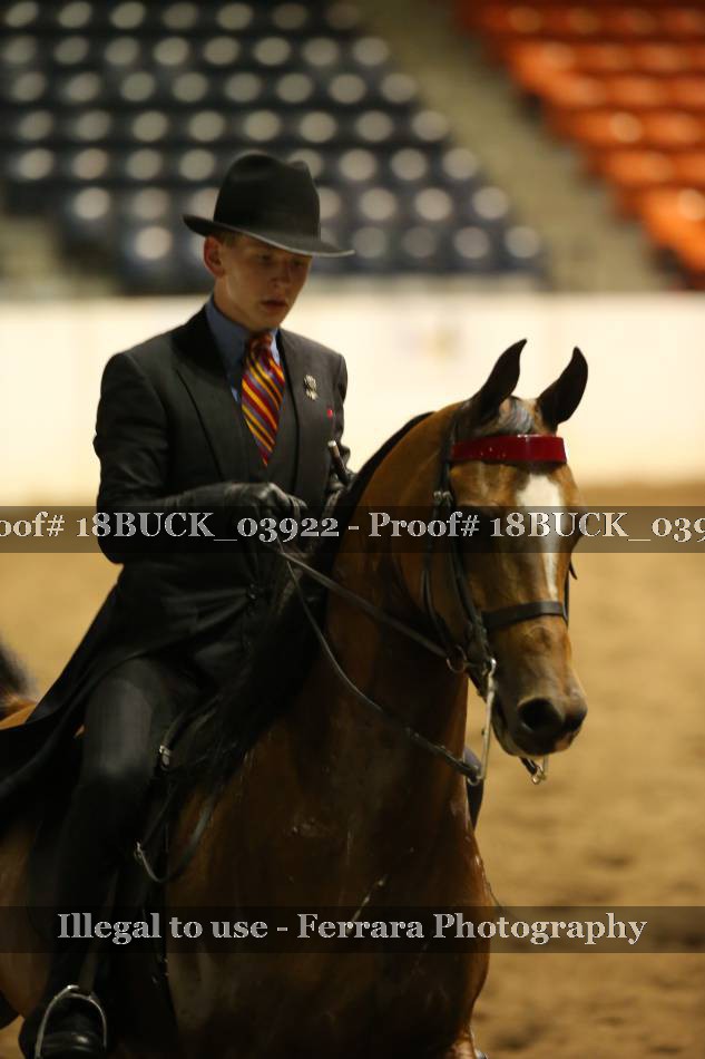 Proof 18BUCK_03922