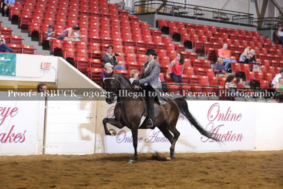 Proof 18BUCK_03923