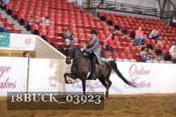 18BUCK_03923 proof