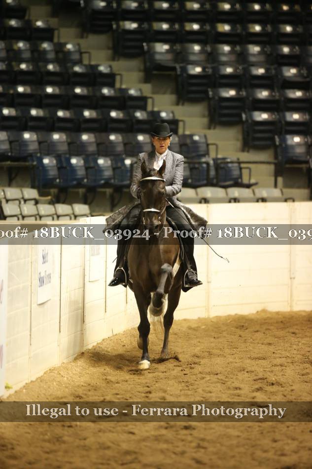 Proof 18BUCK_03924