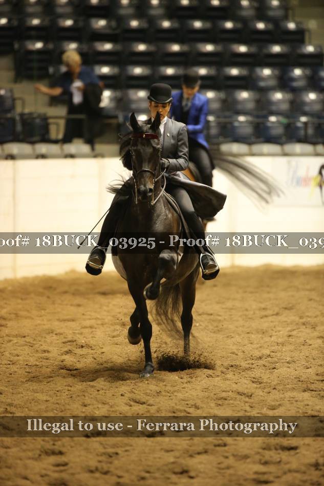 Proof 18BUCK_03925