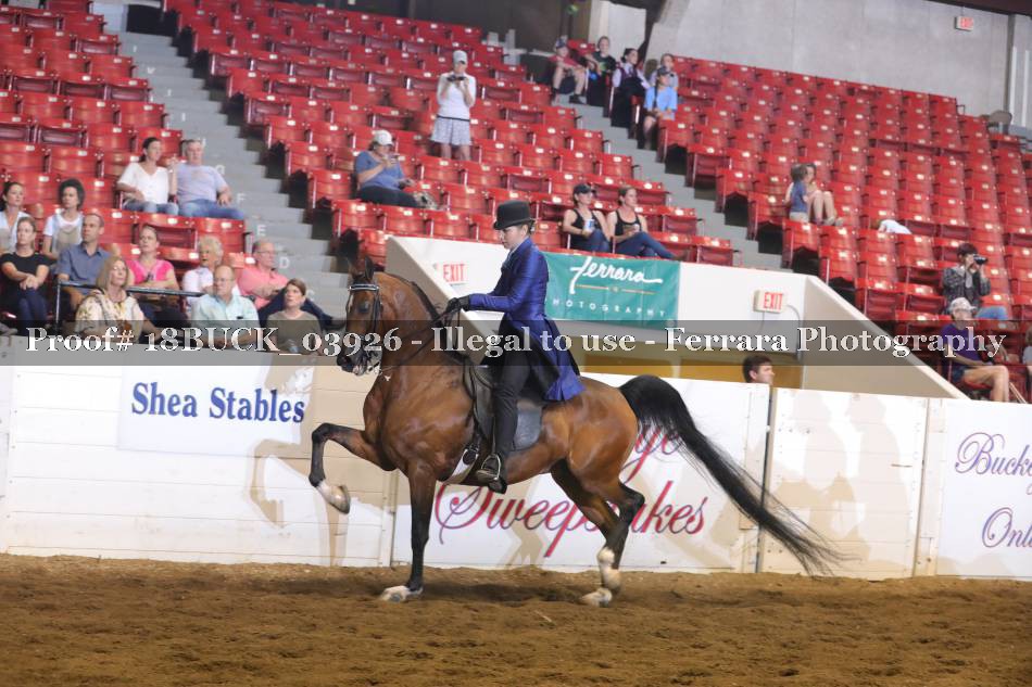 Proof 18BUCK_03926