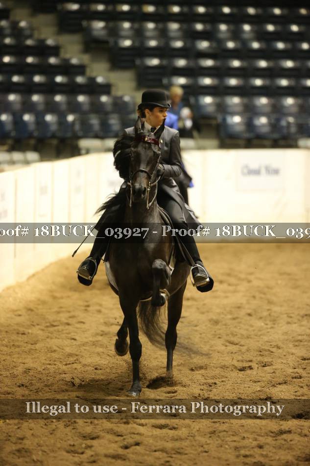 Proof 18BUCK_03927