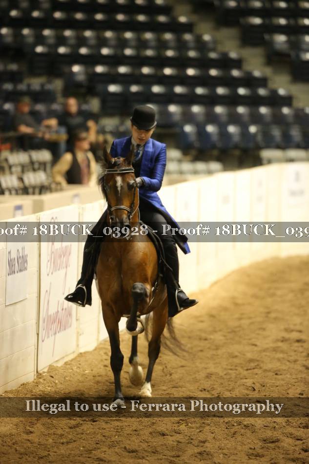 Proof 18BUCK_03928