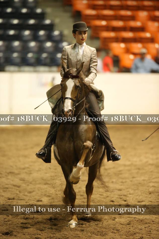Proof 18BUCK_03929
