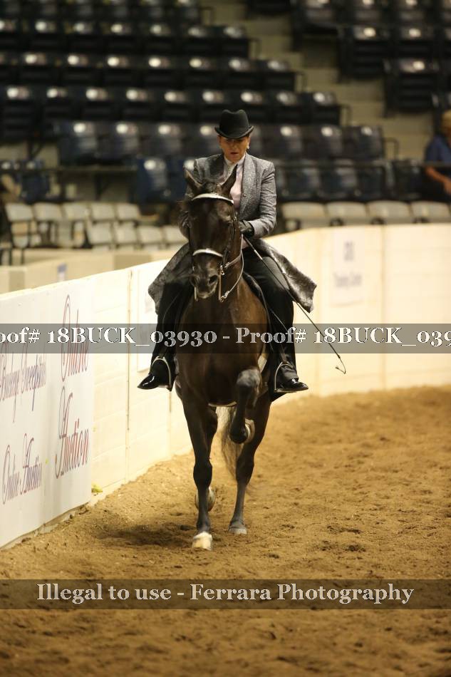 Proof 18BUCK_03930
