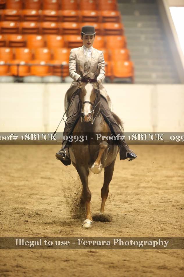 Proof 18BUCK_03931