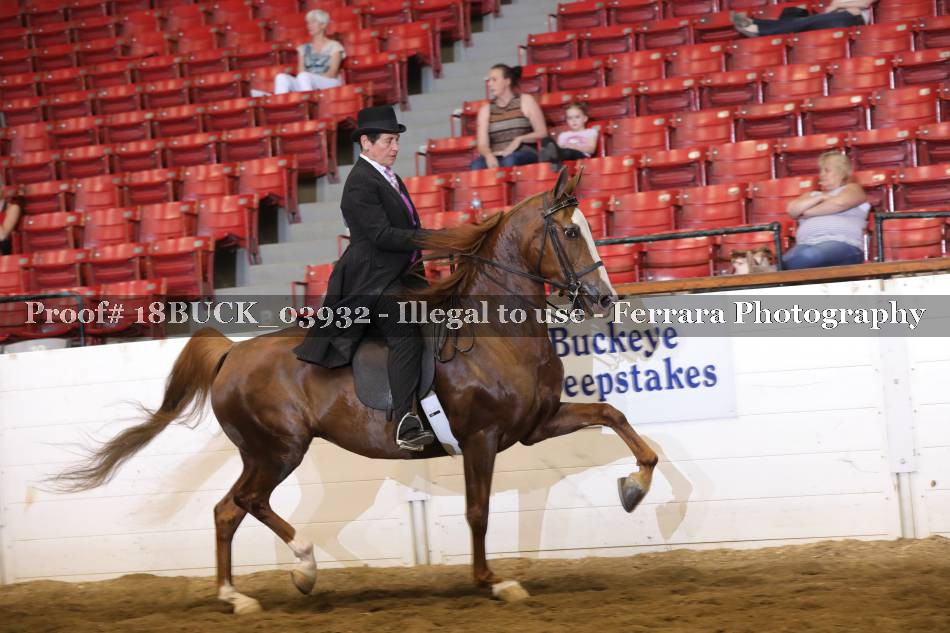 Proof 18BUCK_03932