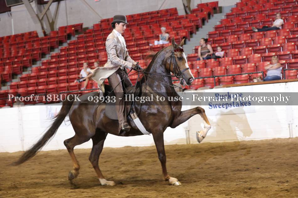 Proof 18BUCK_03933