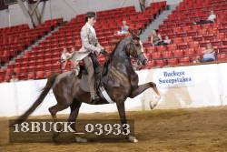 18BUCK_03933 proof