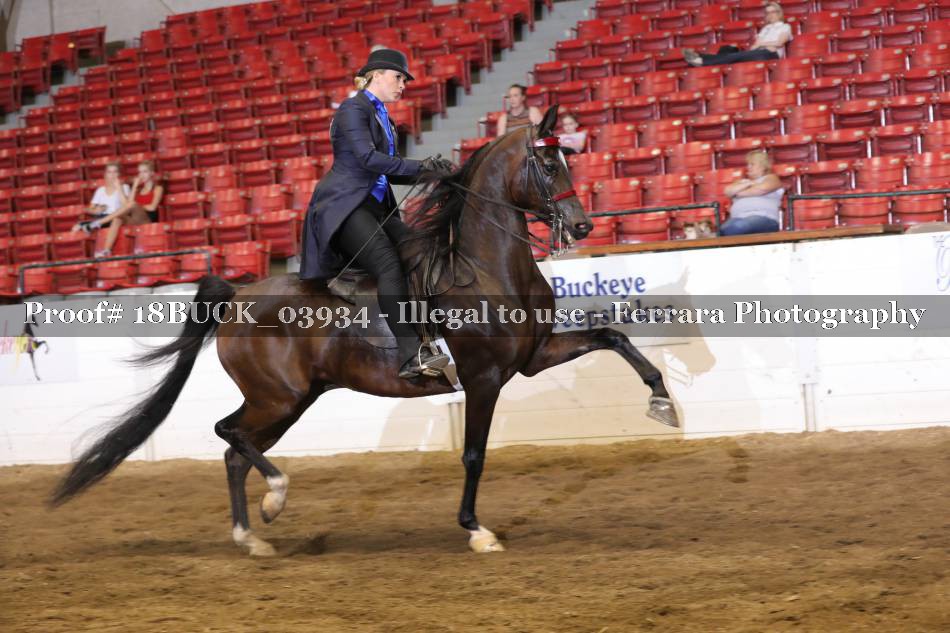 Proof 18BUCK_03934