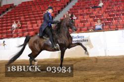 18BUCK_03934 proof