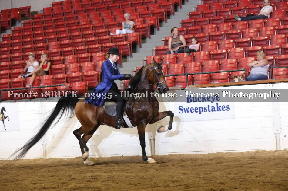 Proof 18BUCK_03935