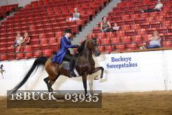 18BUCK_03935 proof