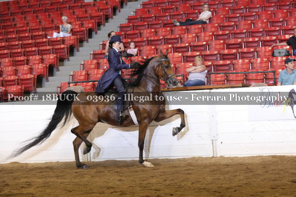 Proof 18BUCK_03936
