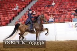 18BUCK_03936 proof