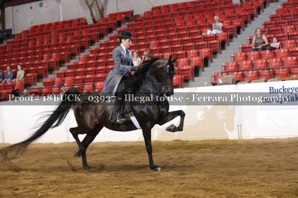 Proof 18BUCK_03937
