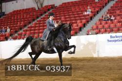 18BUCK_03937 proof