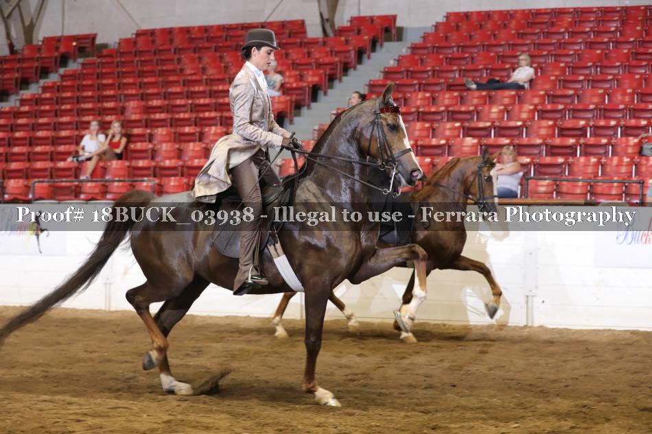 Proof 18BUCK_03938