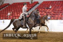 18BUCK_03938 proof