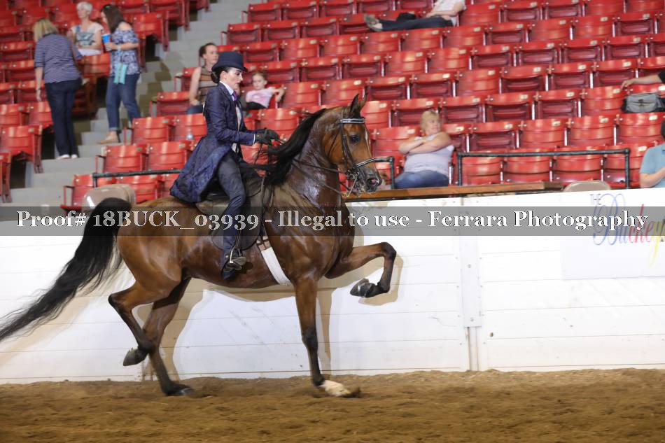 Proof 18BUCK_03939