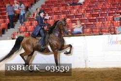 18BUCK_03939 proof