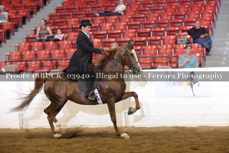 Proof 18BUCK_03940