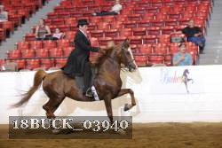 18BUCK_03940 proof