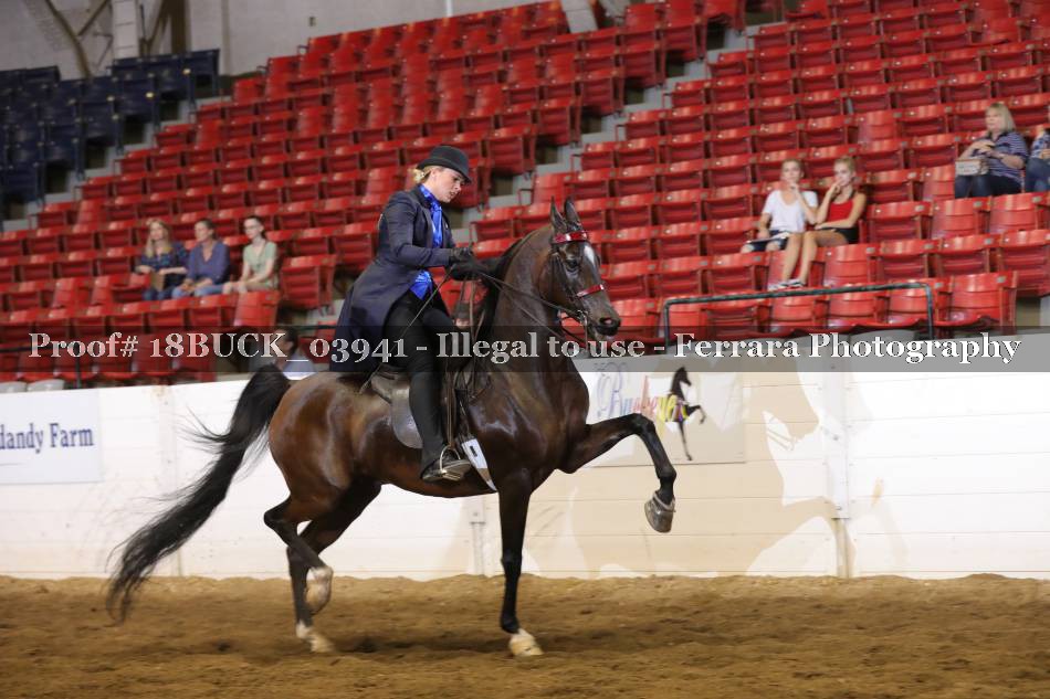 Proof 18BUCK_03941