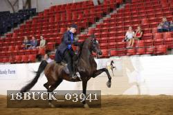 18BUCK_03941 proof