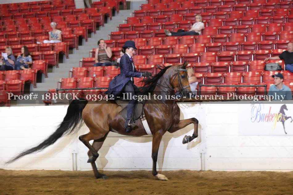 Proof 18BUCK_03942