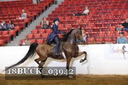 18BUCK_03942 proof