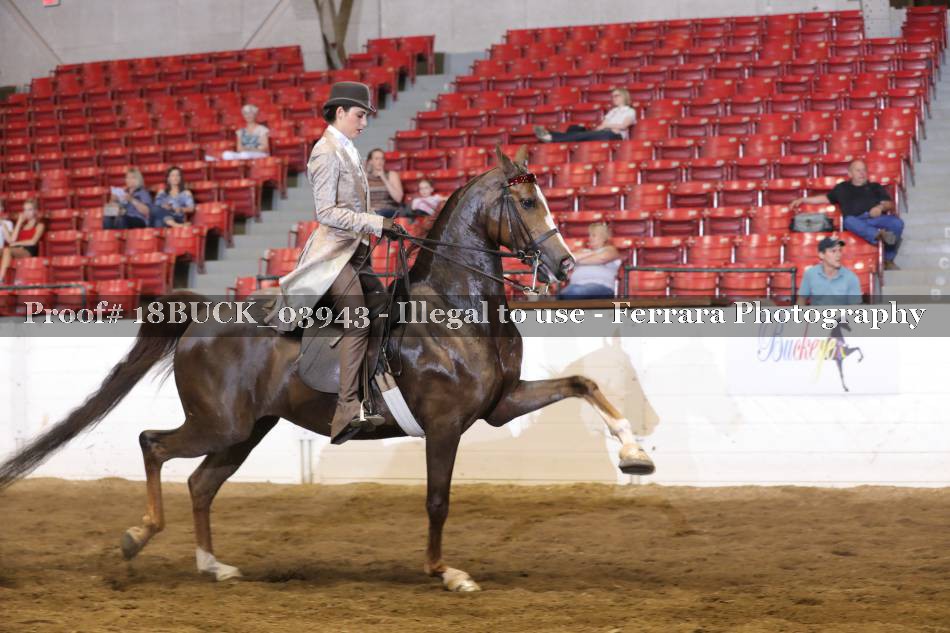 Proof 18BUCK_03943