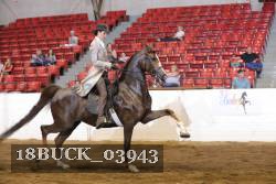 18BUCK_03943 proof