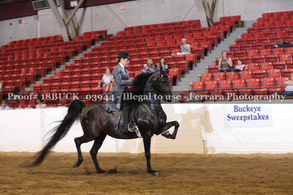 Proof 18BUCK_03944