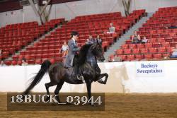 18BUCK_03944 proof