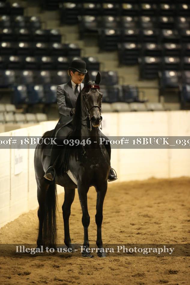 Proof 18BUCK_03946