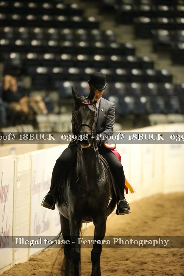 Proof 18BUCK_03948