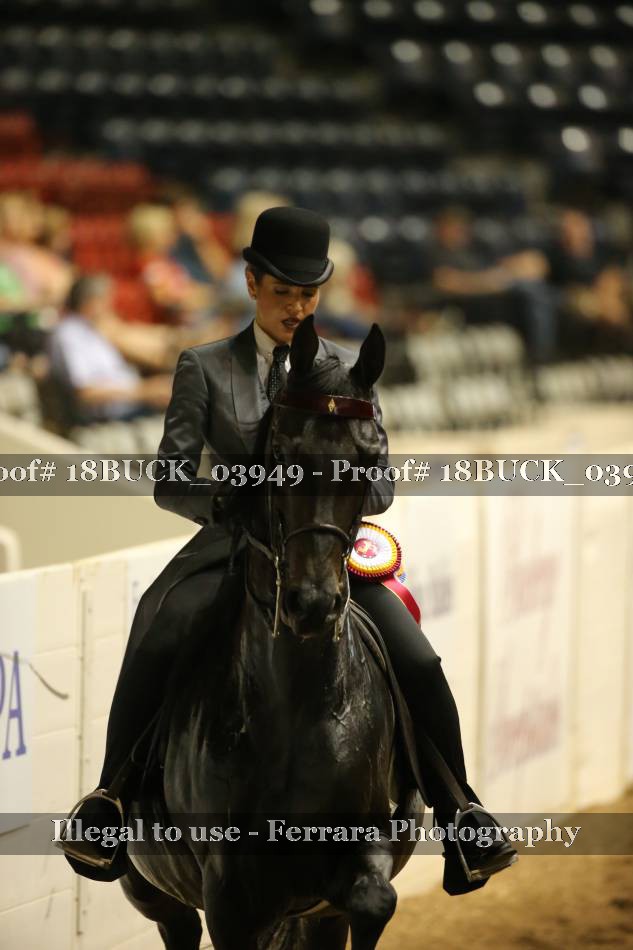 Proof 18BUCK_03949