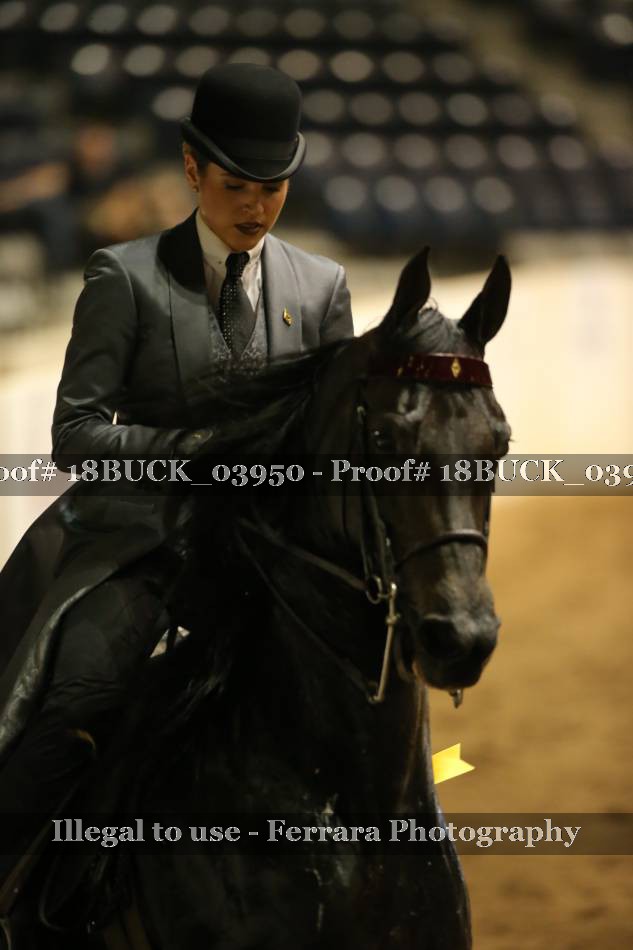 Proof 18BUCK_03950