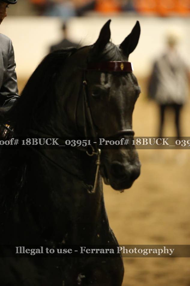 Proof 18BUCK_03951