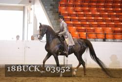 18BUCK_03952 proof