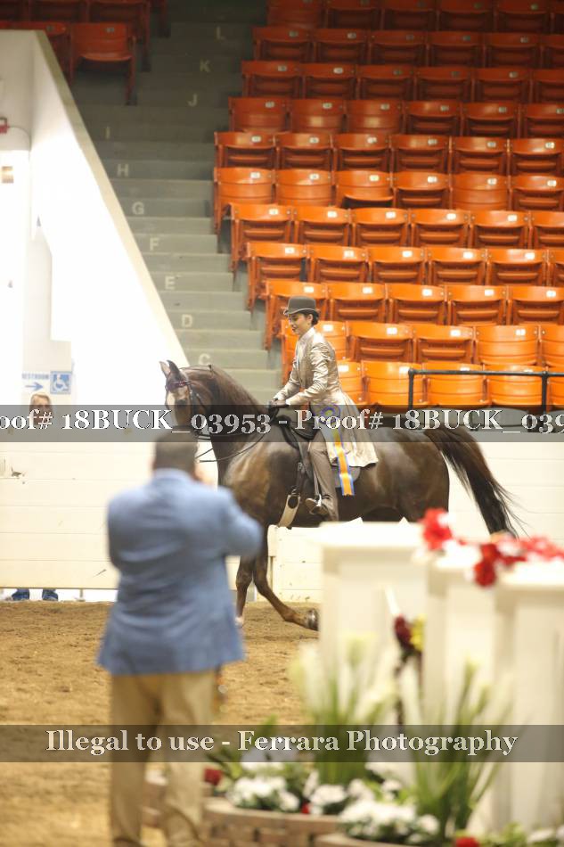 Proof 18BUCK_03953