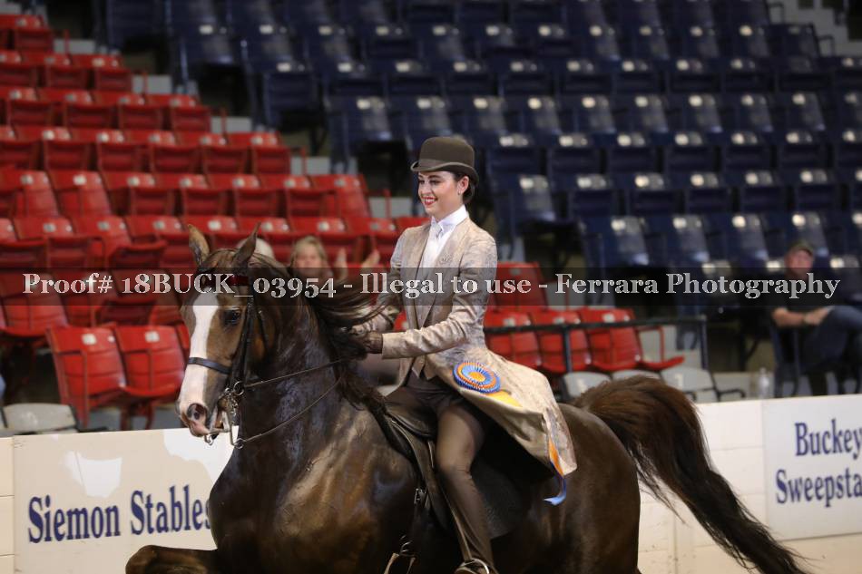 Proof 18BUCK_03954